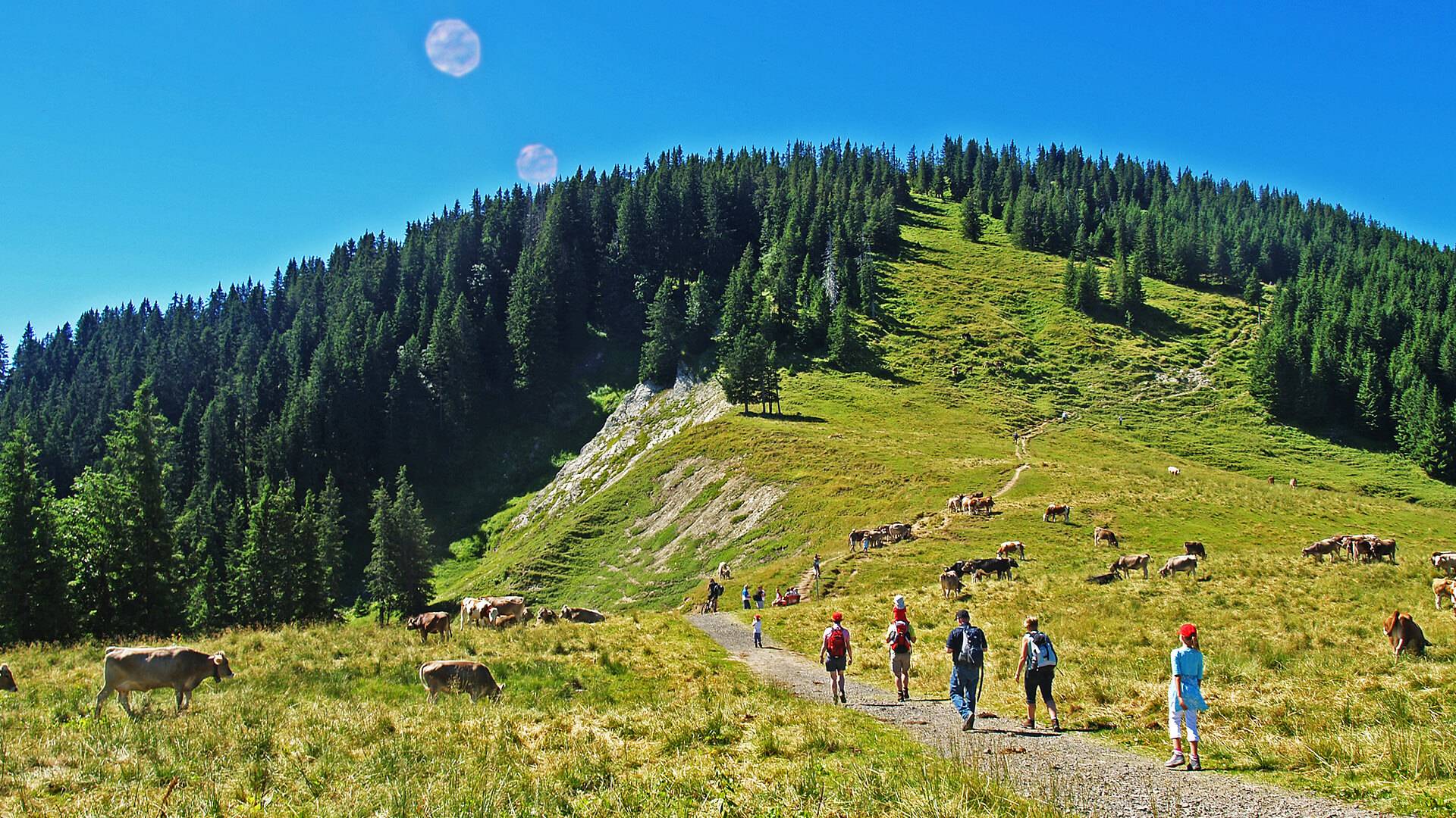 Alpspitzbahn in Nesselwang