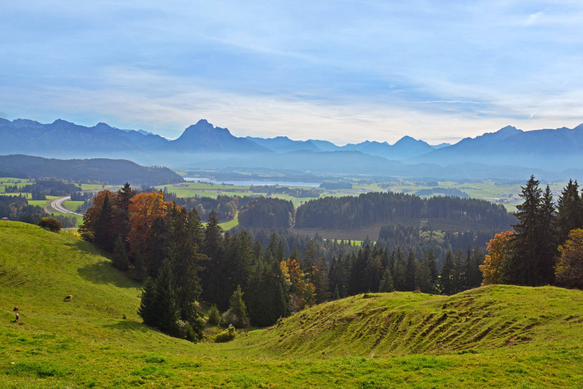 Alpe Beichelstein bei Seeg