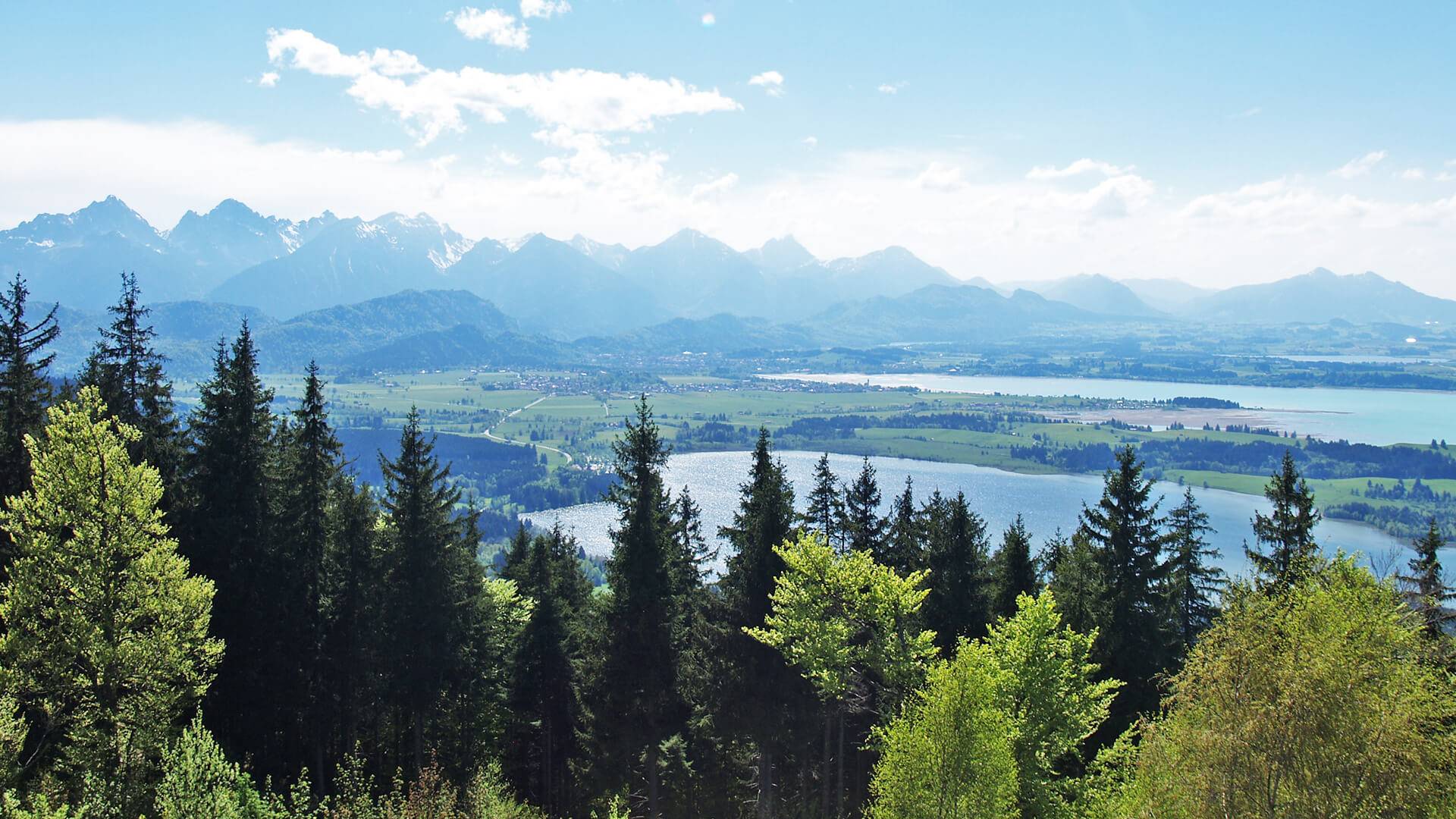 Buchenbergbahn in Buching