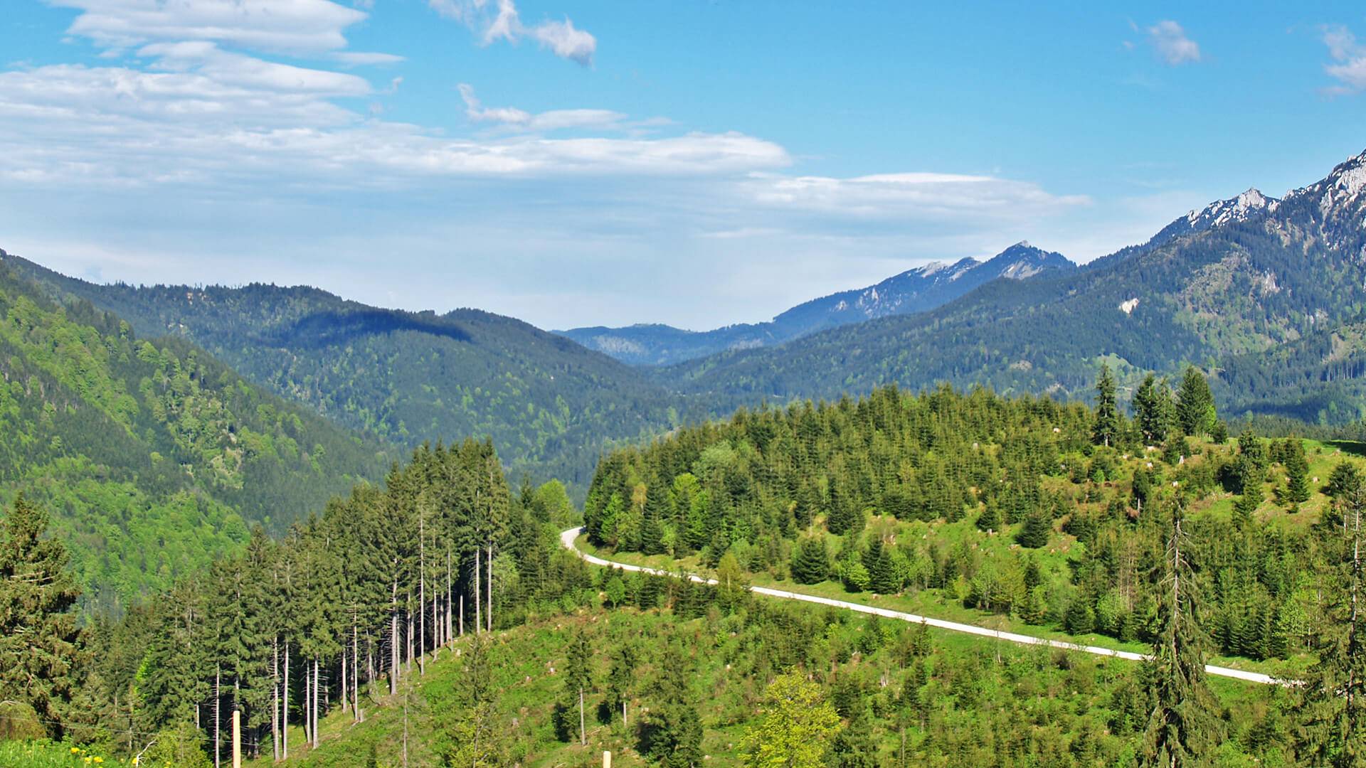Buchenbergbahn in Buching